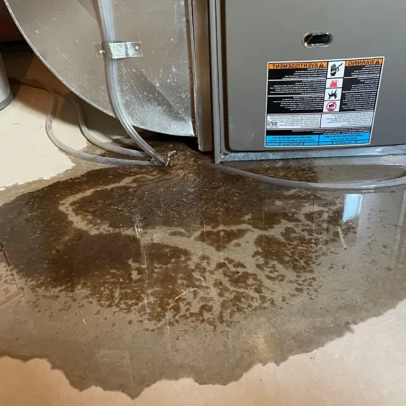 Pipe Burst and Leak Restoration in Tamalpais Valley, CA